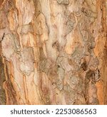 Natural Yew Bark Abstract...