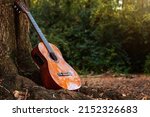 Small photo of Acoustic guitar on a tree. Acoustic guitar. String musical instrument. Autumn mood. Autumn days. copyspace