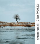 Small photo of A single and isolated, bare tree, silhouetted against the cold and bleak midwinter sky, with a frozen river leading across it