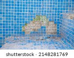 Small photo of Swimming pool in poor condition, pending repair