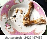 Small photo of A dirty plate, remnants of a meal, bears evidence of a chicken dinner with leftover bones. Stains and traces of food adorn the surface, telling the tale of a satisfying repast now concluded.
