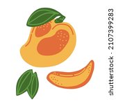 mango. whole  piece  mango... | Shutterstock .eps vector #2107399283