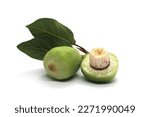 Small photo of Kakadu plum fruit isolated on white background