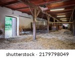 Small photo of Interior of stable in horse breeding in Florianka, Zwierzyniec, Roztocze, Poland. Clean hay lying down on the floor. Drinker and stalls for horses . A run for horses in the background