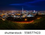 View Of Auckland City Skyline...