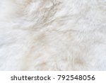 Natural white fur background, design template, copy space