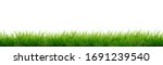 Green grass isolated   banner