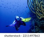 Scuba diver on the Mesoamerican reef in the Caribbean Sea, Roatan, Bay Islands, Honduras