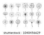Dandelion Flowers With Fluffy...