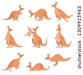 Cute Brown Kangaroo Set ...