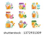 glass jars of herbal honey set  ... | Shutterstock .eps vector #1372931309