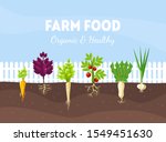 bed with different root... | Shutterstock .eps vector #1549451630