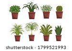 house plants in brown... | Shutterstock .eps vector #1799521993