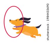 circus dog animal jumping... | Shutterstock .eps vector #1984433690