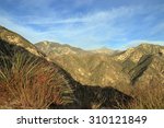 Angeles National Forest