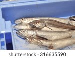 Small photo of Silver hake fish on ice in the market