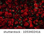 Artificial Red Rose Background