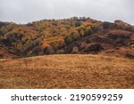 Small photo of Misty rainy autumn mountain landscape in the morning. View of the misty mountain slopes in the distance. Morning foggy hills. Autumn in remote foothills in northern China.