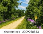 On a sunny Spring day in Wisconsin, the Glacial Drumlin State Trail passes over a wooden bridge by bright purple flowers and a lush green landscape.