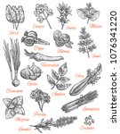 herbs and spices sketch icons.... | Shutterstock .eps vector #1076341220