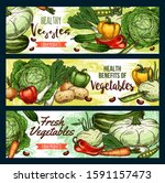 vegetables  farm market veggies ... | Shutterstock .eps vector #1591157473