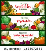 vegetables  organic farm food... | Shutterstock .eps vector #1635072556