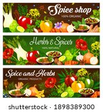 herbs and spices  seasonings ... | Shutterstock .eps vector #1898389300