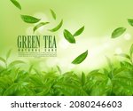herbal green tea plantation.... | Shutterstock .eps vector #2080246603
