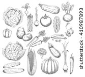 sketches of healthy and fresh... | Shutterstock .eps vector #410987893