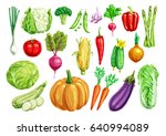 watercolor vegetables. tomato... | Shutterstock .eps vector #640994089