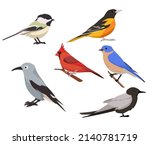 Vector Set Of Birds In Cartoon...