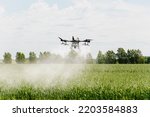 Modern technologies in agriculture. An industrial drone flies over a green field and sprays useful pesticides to increase productivity and destroys harmful insects. increase productivity