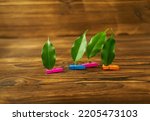 Multicolored clothespins with leaves on a wooden background. Beautiful desktop background.  The concept is a metaphor for gender equality. 