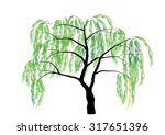 Willow Tree Vector Illustration