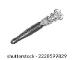 Silver Scepter Isolated On...