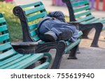 Small photo of the vagabond sleeps on the bench