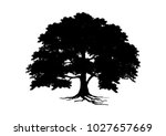 tree silhouette isolated on... | Shutterstock .eps vector #1027657669