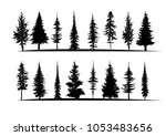 tree silhouette isolated on... | Shutterstock .eps vector #1053483656