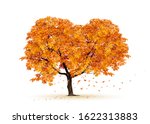 autumn tree vector.realistic ... | Shutterstock .eps vector #1622313883