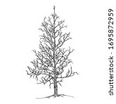 hand drawn tree isolated on... | Shutterstock .eps vector #1695872959