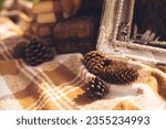 3d illustration of pine cone and cozy blanket and book in the park.