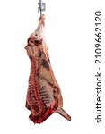 Small photo of A Meat industry, meats hanging in the cold store. Cattles cut and hanged on hook in a slaughterhouse isolated on a white background. Halal cutting. beef.