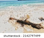 A Tree Log Splashed By Ocean...
