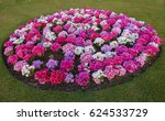 Nice Circle Of Flower Bed