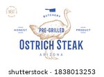 ostrich. template label.... | Shutterstock .eps vector #1838013253