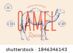 camel. template label. vintage... | Shutterstock . vector #1846346143