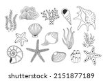 shells  sea plants and starfish ... | Shutterstock .eps vector #2151877189