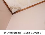 Small photo of a perforated plasterboard roof, a leaky roof, a leaky roof corner