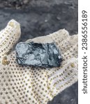 Small photo of A Handful of Potential. A person holding a piece of coal, symbolizing the tangible power and energy within this natural resource.