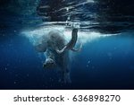 Swimming African Elephant...
